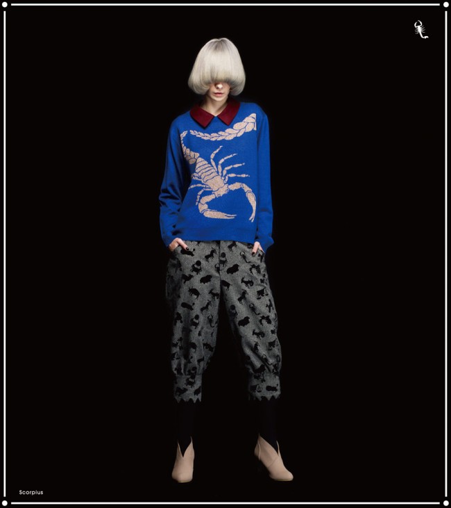 bortsprungt-Star-Sign-Collection-scorpio