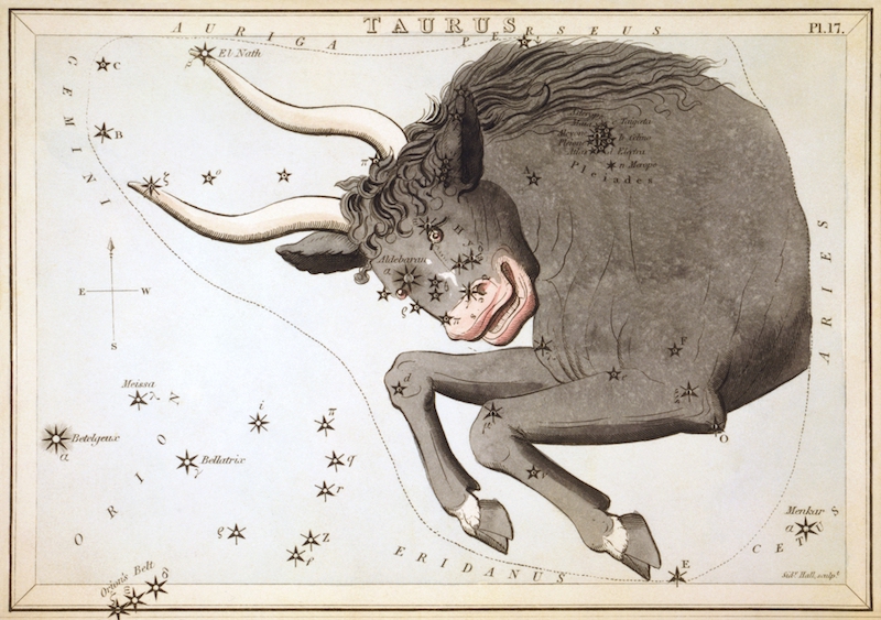 Astrology And The Taurus Constellation... – Star Sign Style