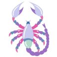 Set of modern color zodiac signs, for new web design. Flat style. Vector illustration on white background